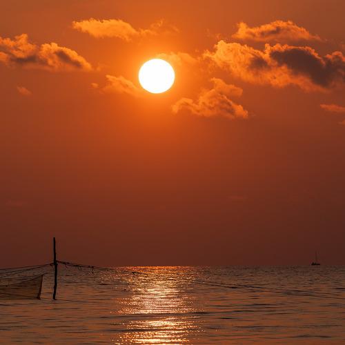 Photo #5205951