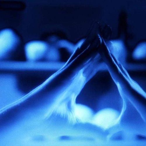 Photo #5206006