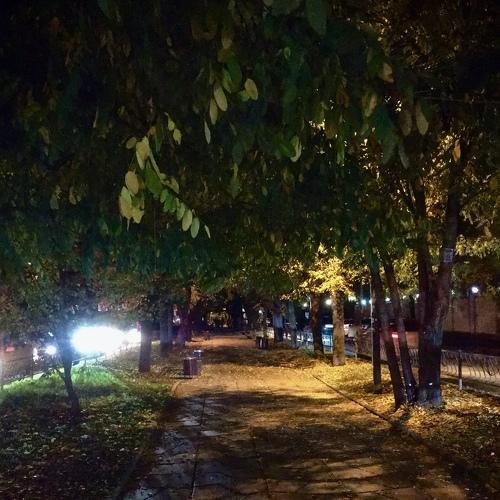 Photo #5206023