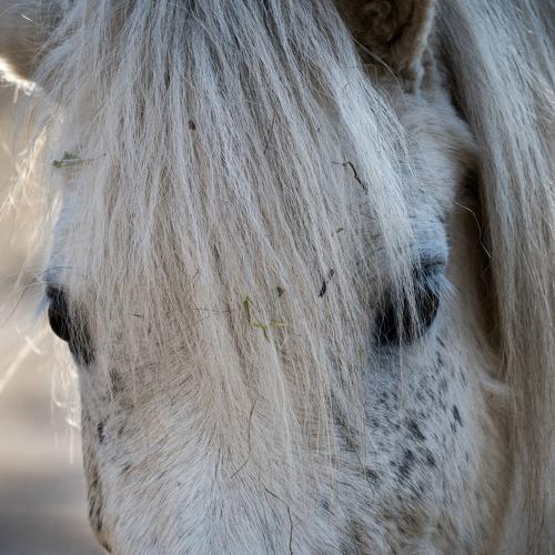 Photo #5206387