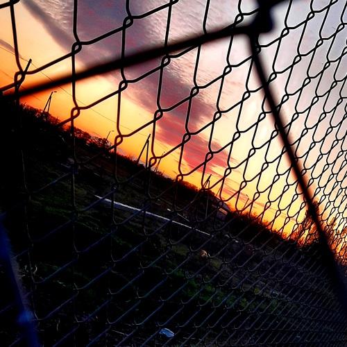 Photo #5206580