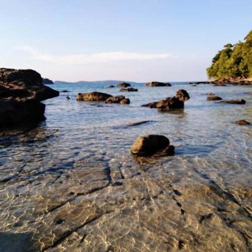 Photo #5206752