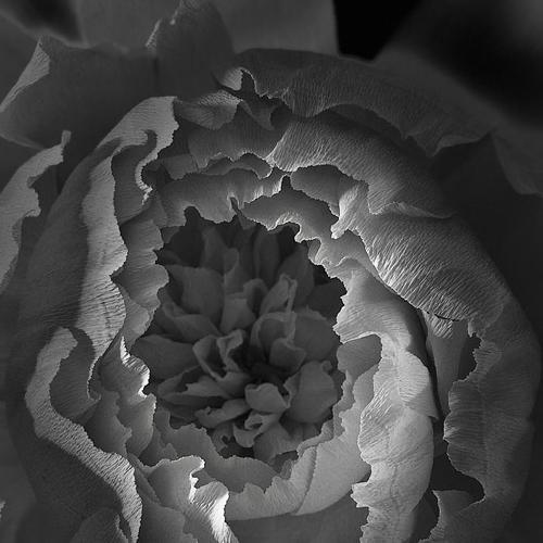 Photo #5206923