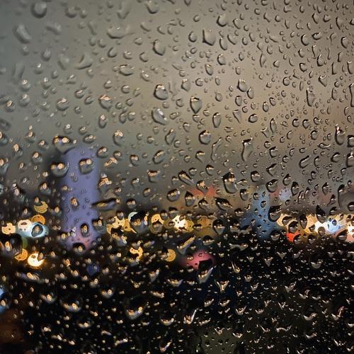 Photo #5206930