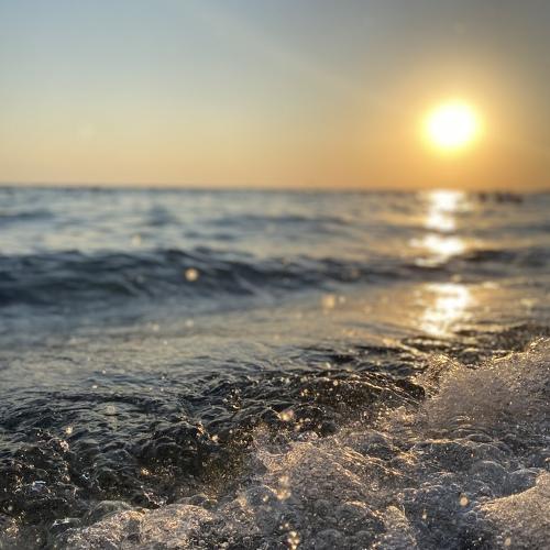 Photo #5206942