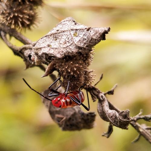 Photo #5206948