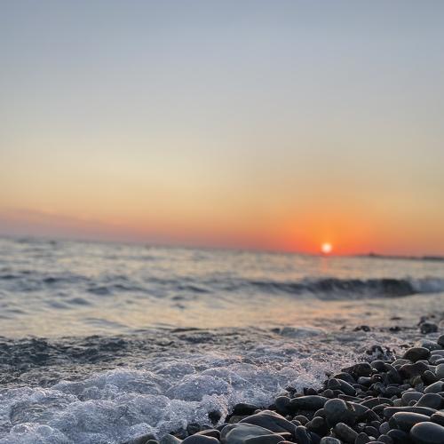 Photo #5206949