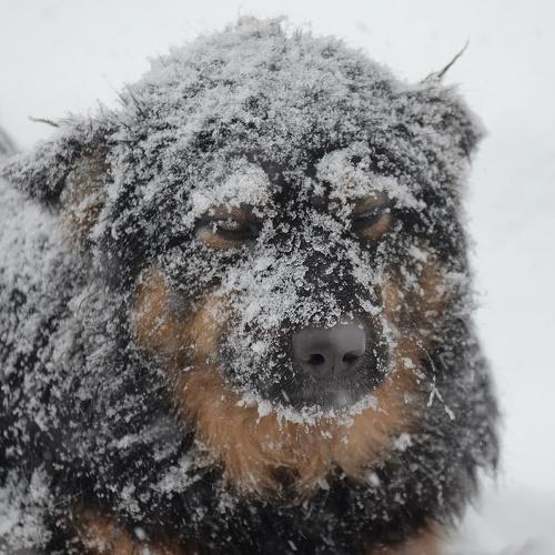 Photo #5207422