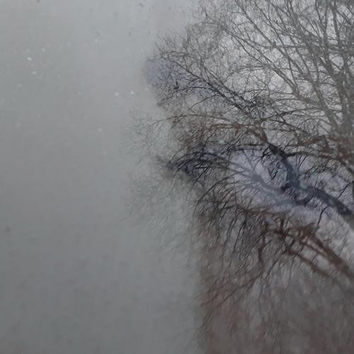 Photo #5207542