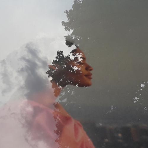 Photo #5207552