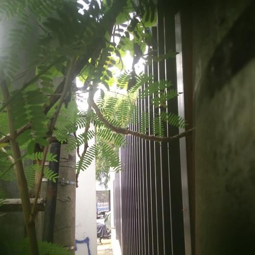Photo #5207976