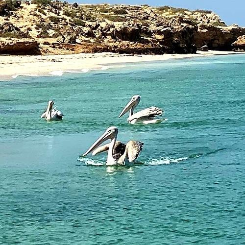 Photo #5208102