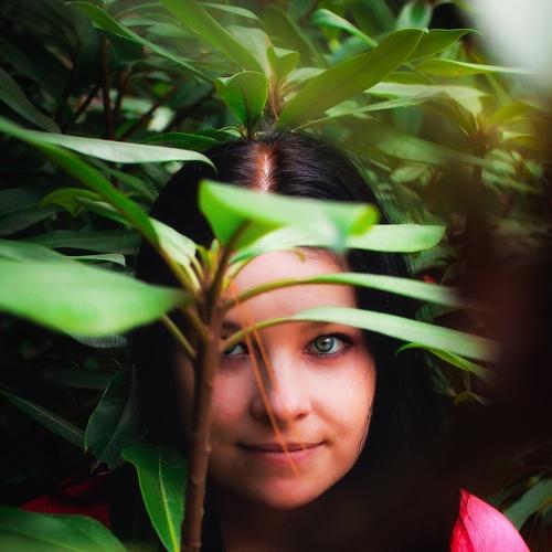 Photo #5208239