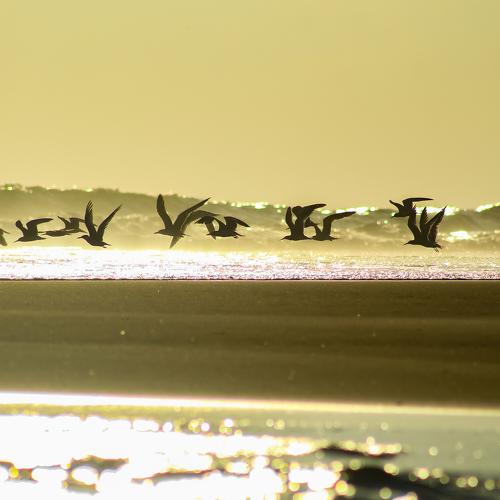 Photo #5208303