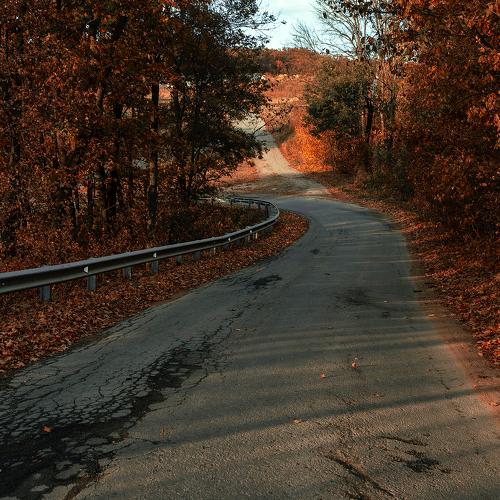 Photo #5208952