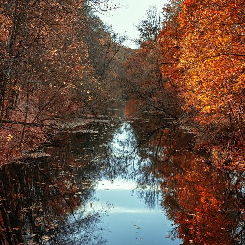 Photo #5208953