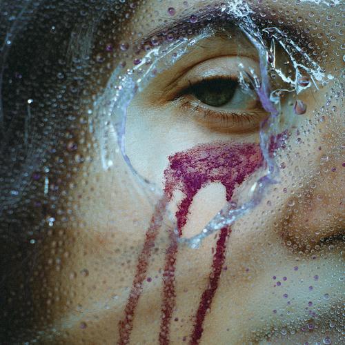Photo #5209521