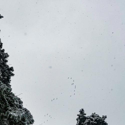 Photo #5209899