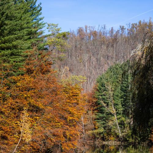 Photo #5209912