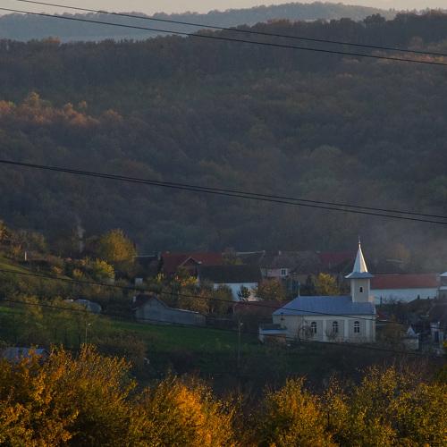 Photo #5209924