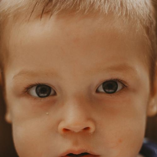 Photo #5209946