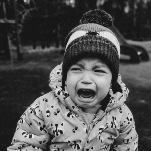 Photo #5209947