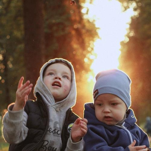 Photo #5209968