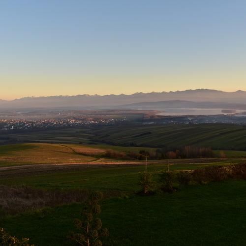 Photo #5210230