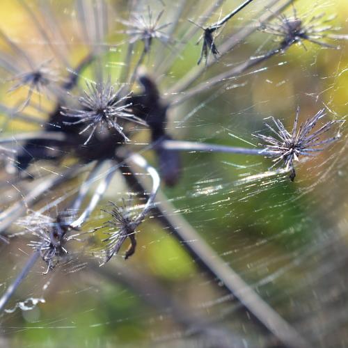 Photo #5210327
