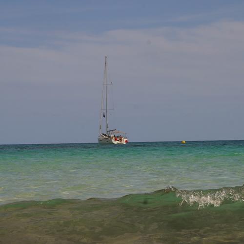 Photo #5210536