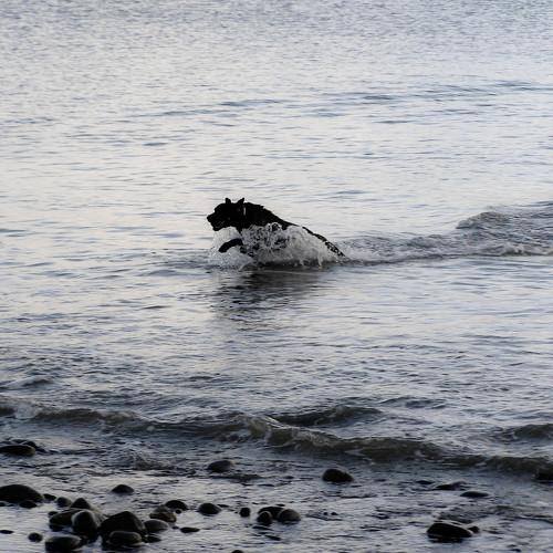 Photo #5210866