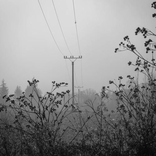 Mist in one morning