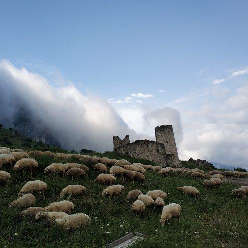 Photo #5211041