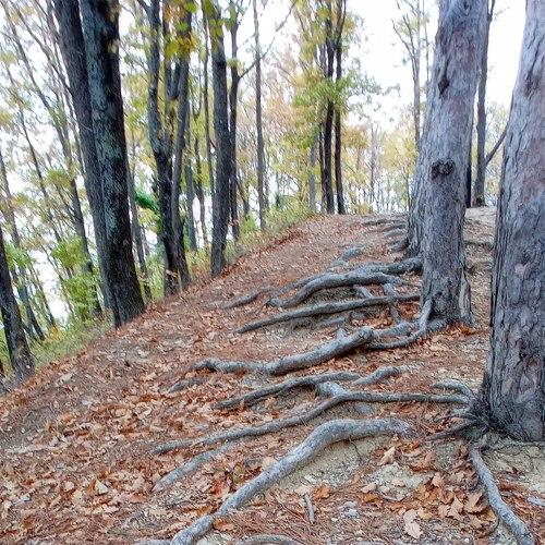 Photo #5211432