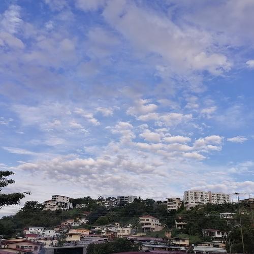 Photo #5212493