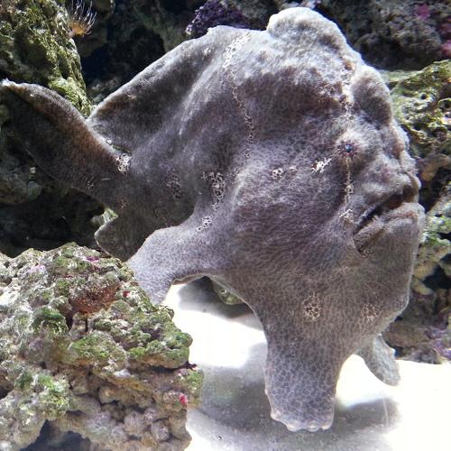 Photo #5212760