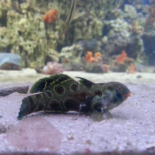 Photo #5212771