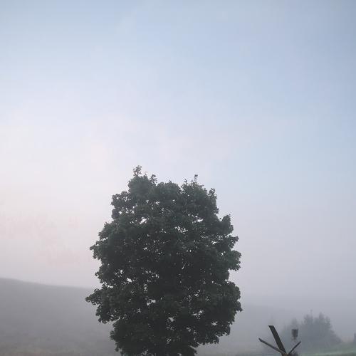 Photo #5213017