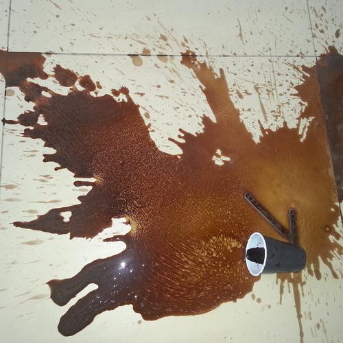 Photo #5213308