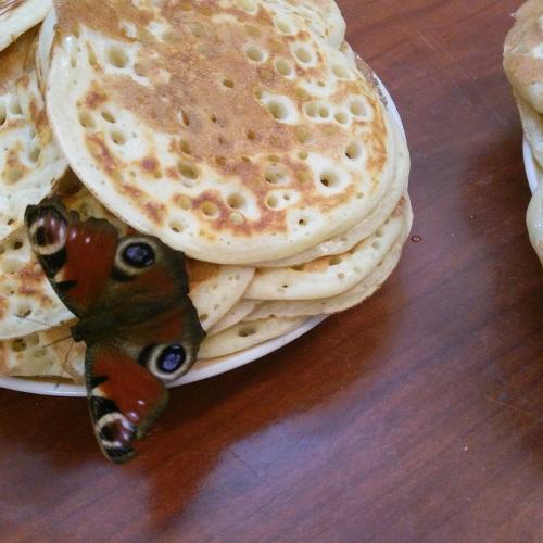 Photo #5214435