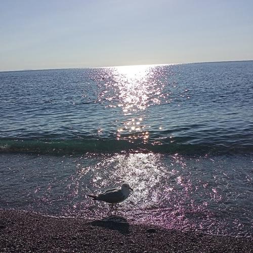Photo #5214520