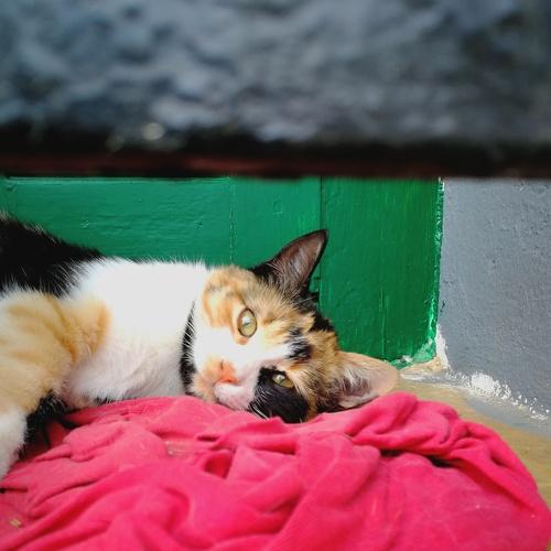 Photo #5214885