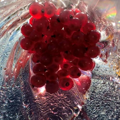 Photo #5214934
