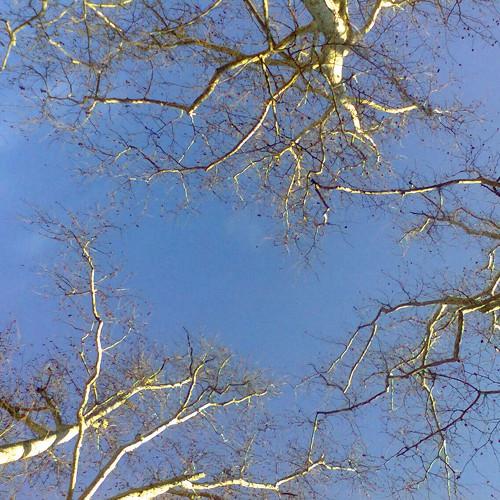 Photo #5215204