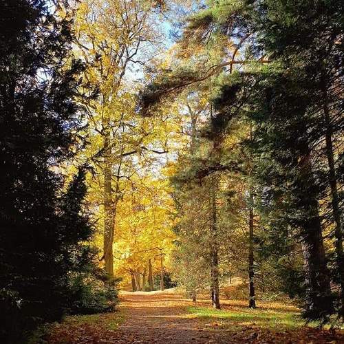 Photo #5215351