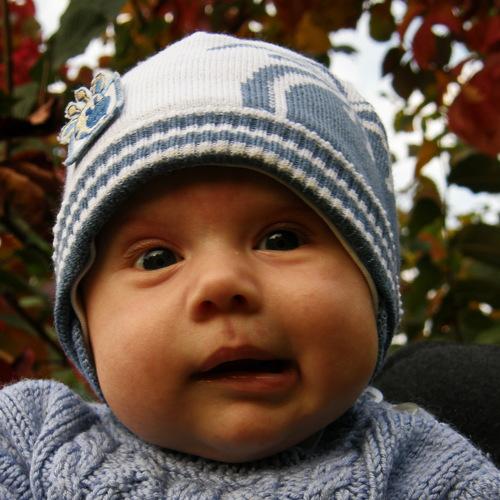 Photo #5215433