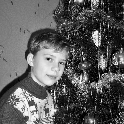 Photo #5215520