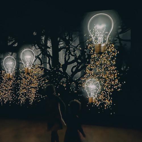 Photo #5215675