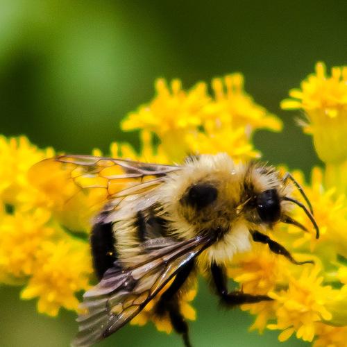 Photo #5215776
