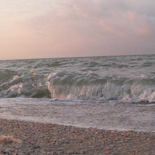 Photo #5215846